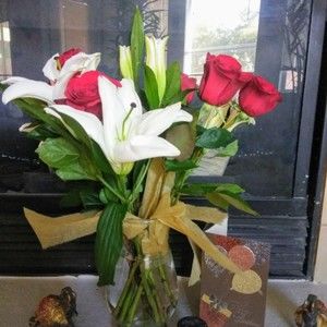 Meet your Posher, Shelly